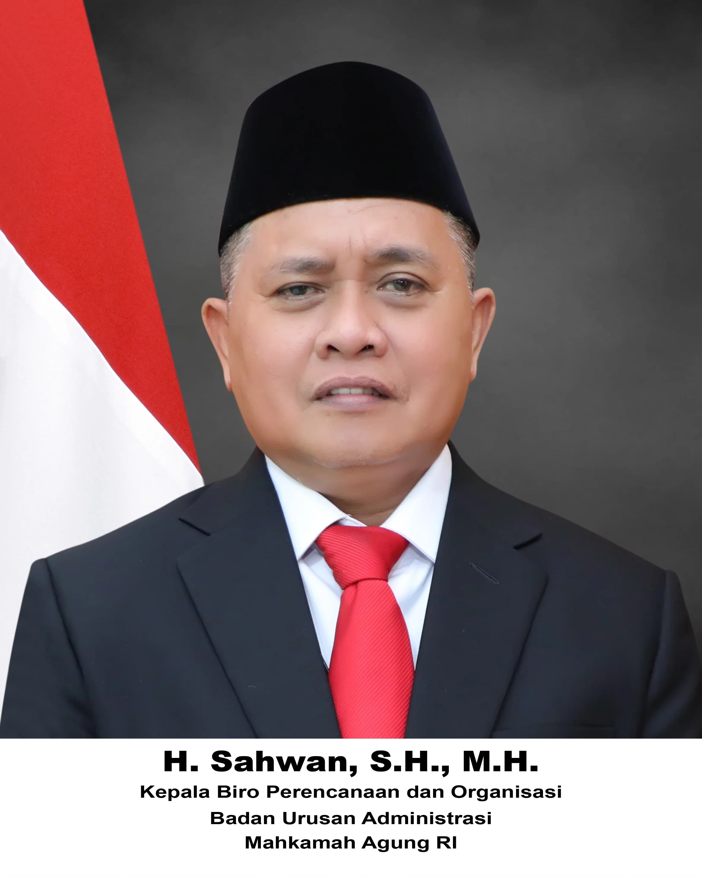 sahwan copy.jpg